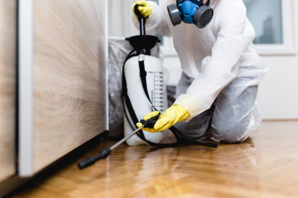 Best Cockroach Control Services  in Blakely, PA