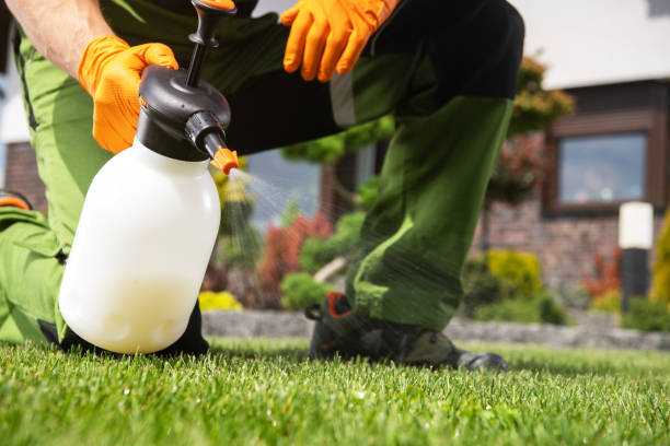 Best Termite Control Services  in Blakely, PA