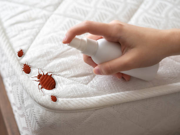Best Pest Removal Services  in Blakely, PA