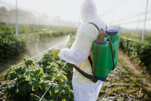 Best Exterminator Services  in Blakely, PA